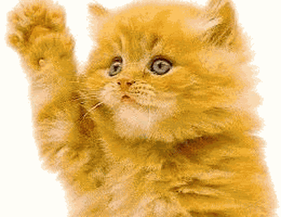 waving kitty gif photo: hey gurl! WavingCat.gif