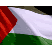 Palestine Flag Pictures, Images and Photos