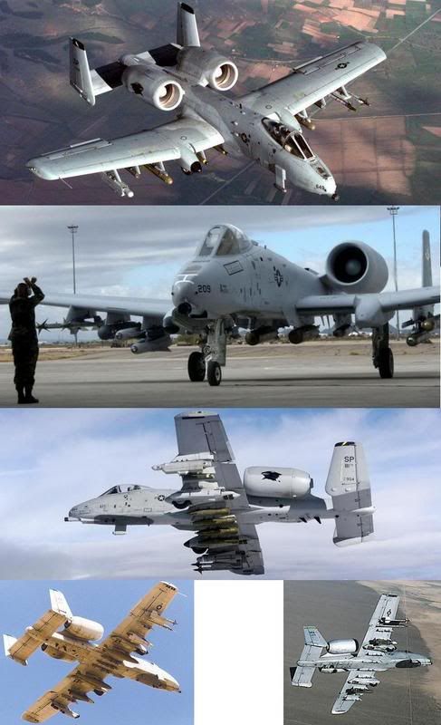 http://i48.photobucket.com/albums/f204/ColonelMarksman/A-10s.jpg