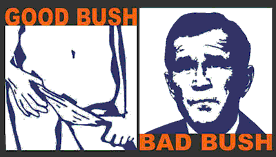Good/ Bad Bush Pictures, Images and Photos