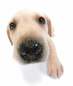 Книга: И все-таки я люблю Жизнь продолжается. Автор: Елена Харькова