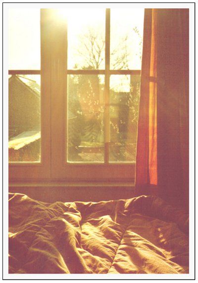 room light curtain