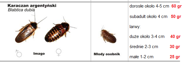 nowycennik.png