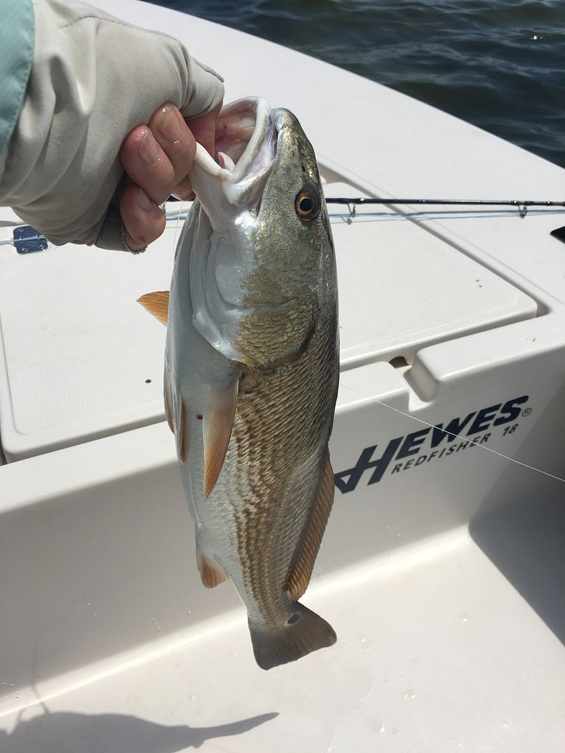 Your "PERFECT" Bucket List fishing trip? The Classic Fly Rod Forum