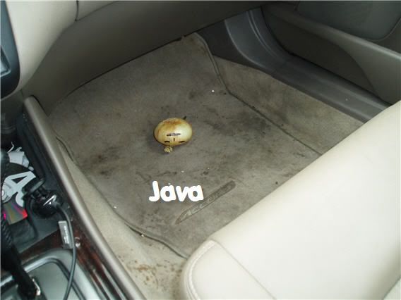 Photobucket - Video and Image Hosting