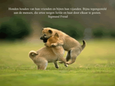 Honden.gif Honden image by Jeanny553