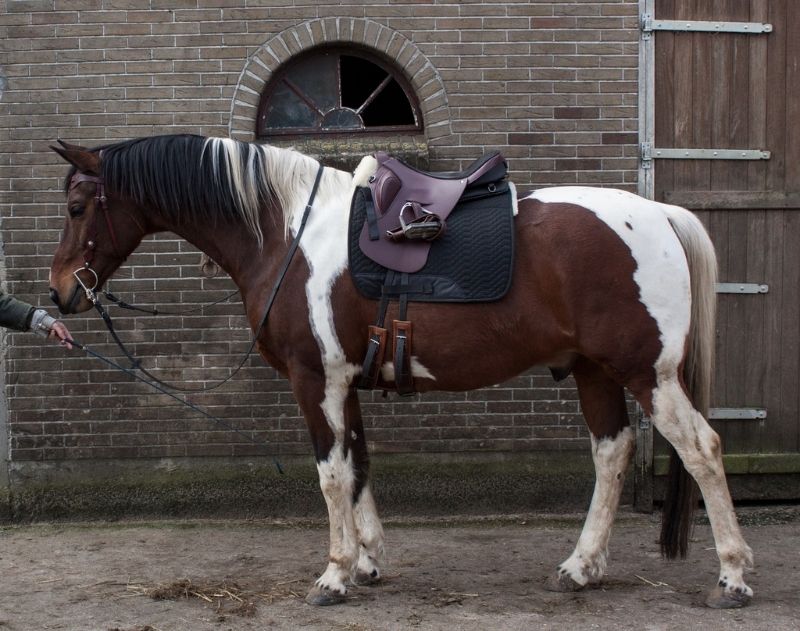 Afbeelding
