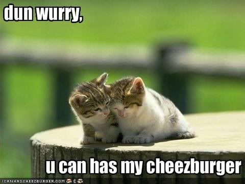 LOLcats