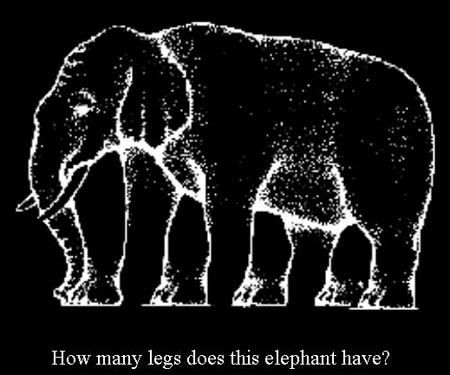 Elephant legs