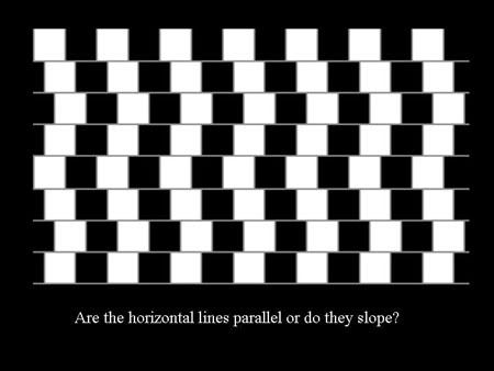 Horizontal Lines?
