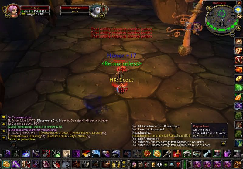WoWScrnShot_081407_191052.jpg