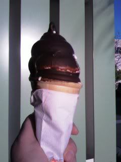 chocolate dipped cone - yum!