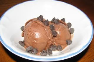 03/01/09 Soy Chocolate Ice Cream w/Vegan Chips
