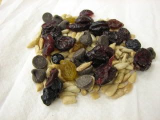 03/12/09 Homemade Trail Mix Snack