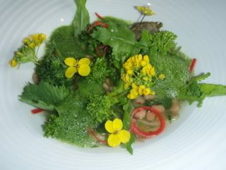 UbuntuFregola in a Bordeau Spinach Broth