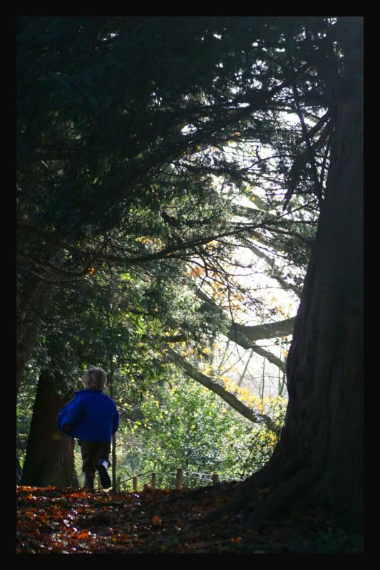 IMAGE: http://i48.photobucket.com/albums/f217/linus4/IMG_7993-1.jpg