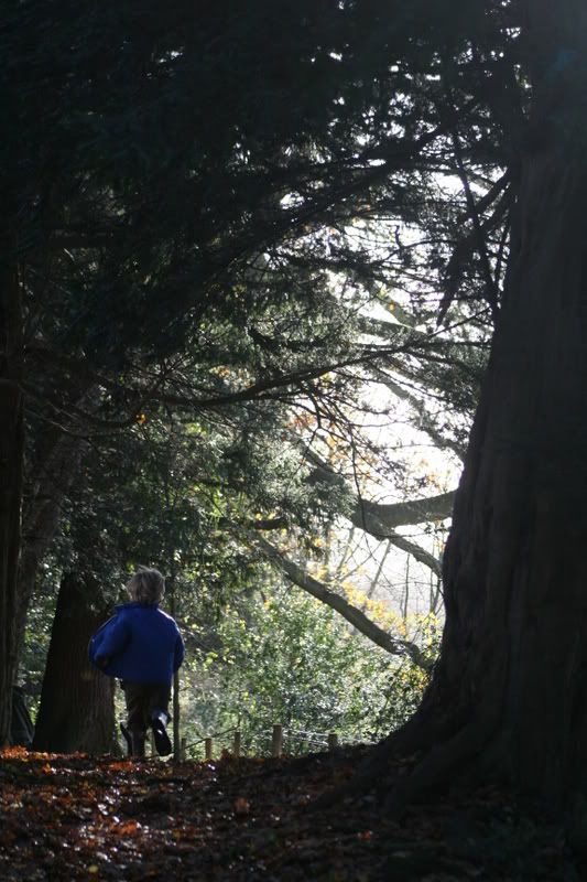 IMAGE: http://i48.photobucket.com/albums/f217/linus4/IMG_7993.jpg