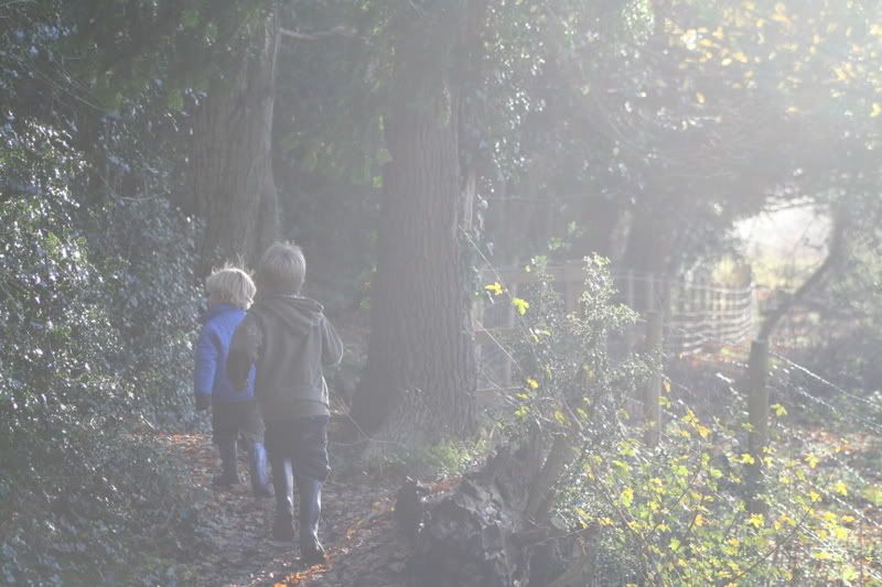 IMAGE: http://i48.photobucket.com/albums/f217/linus4/IMG_7996.jpg