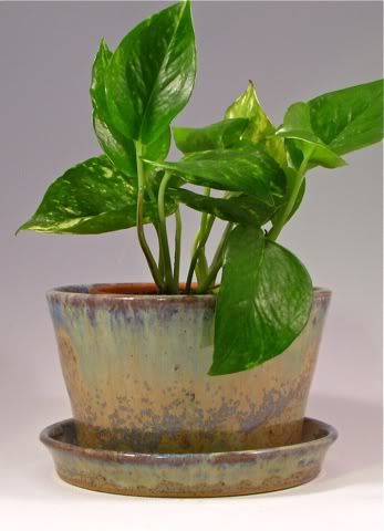 Beach planter with attached saucer