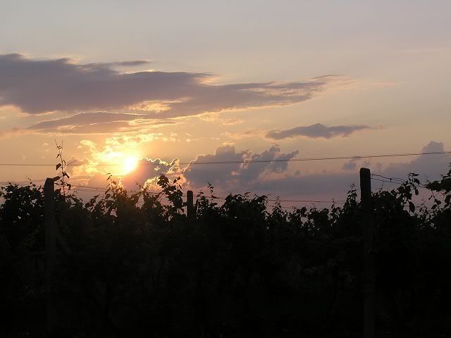 IPB Image