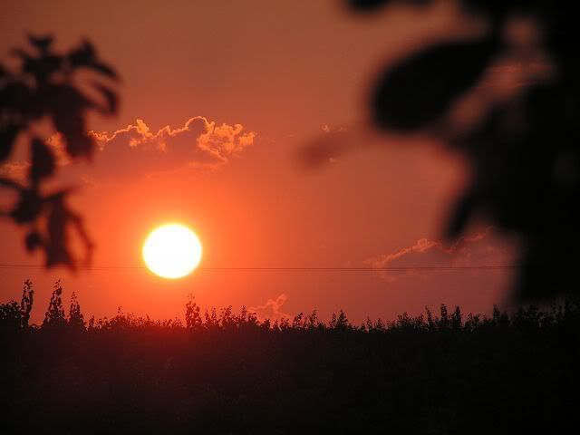IPB Image