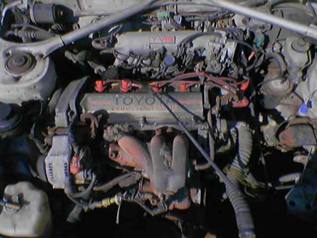 IPB Image