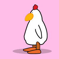chicken doing joga