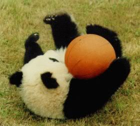 panda-baby2.jpg