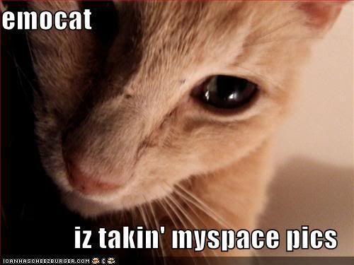 Catsemomyspacepic.jpg