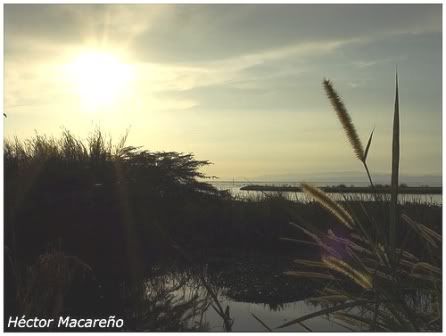 y los Recursos Naturales recursos naturales renovables. y los Recursos Naturales