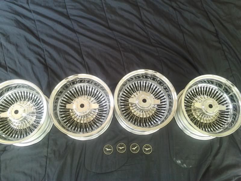 ZENITH OF CALIFORNIA NEW 13X7 72 SPOKES ALL CHROME W STAINLESS SPOKES