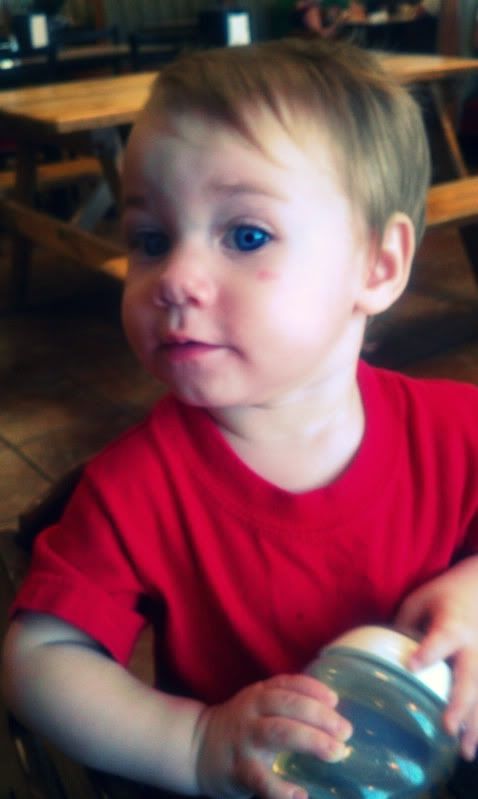 Gryffin2-1.jpg