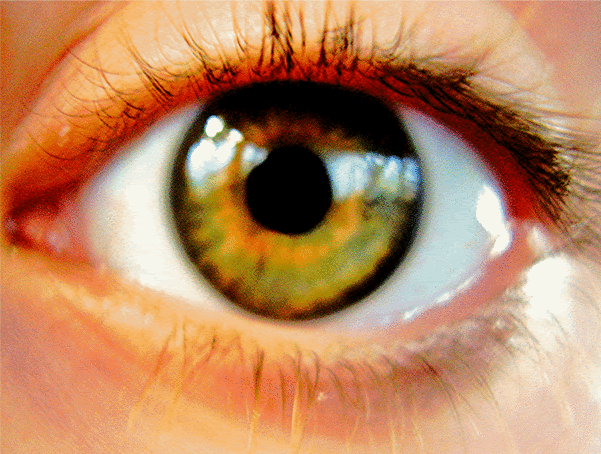 Project1.gif image by topofthe_slide