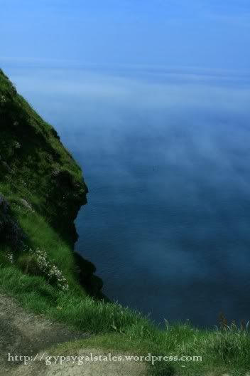 IMG 8323 Cliffs of Moher