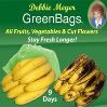 20 Debbie Meyer Green Bags