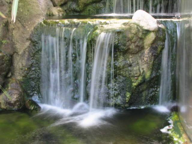 Zoo38.jpg