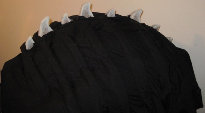 ribcagecloth.jpg