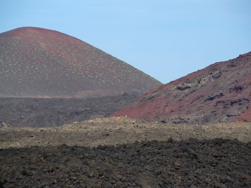 Elgolfo-1.jpg
