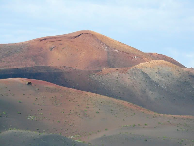 Elgolfo-13.jpg