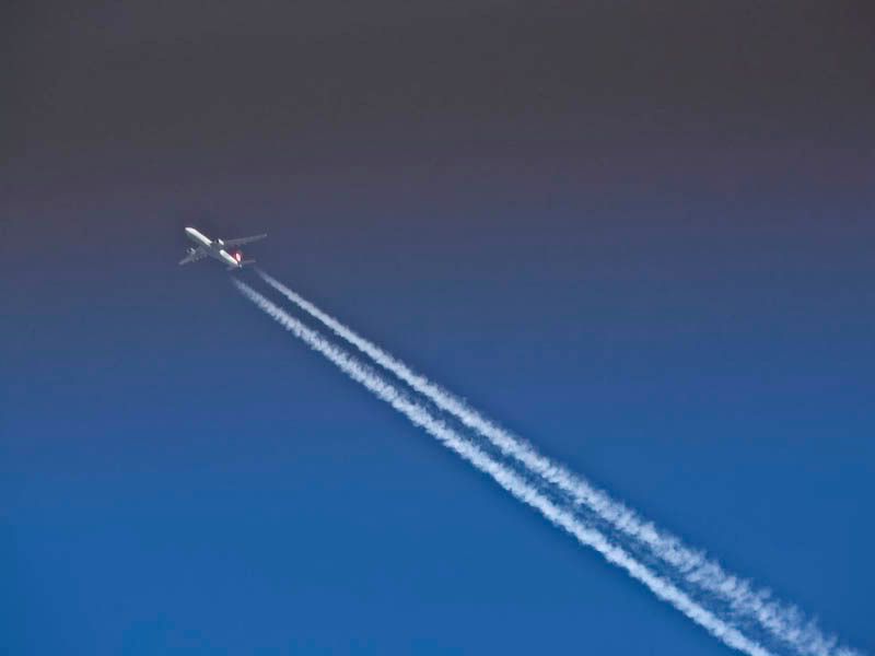 MXP-OLB08-1.jpg