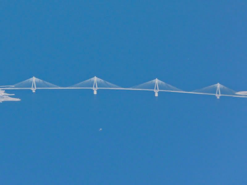 P1050414.jpg