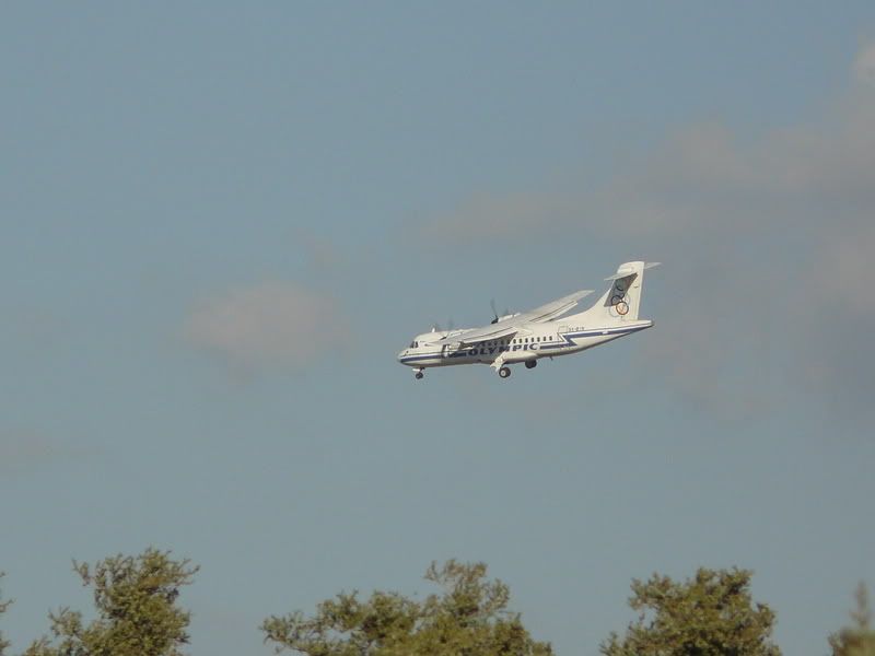 P1050757.jpg