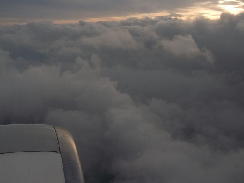 P1060284.jpg