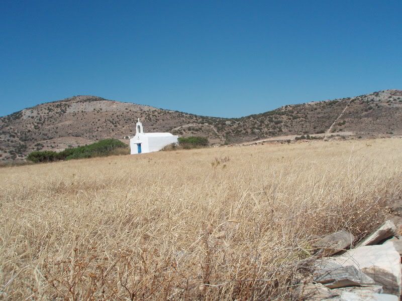 P7080209.jpg