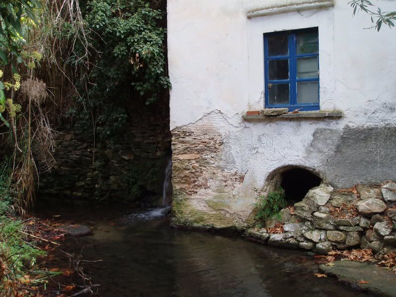 P9230136.jpg