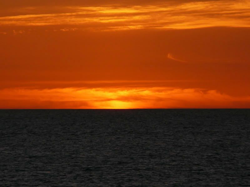 Papagayo-8.jpg