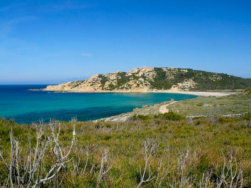 SantaTeresa-1.jpg