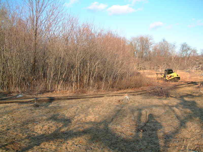 2007_0327_180557AA.jpg