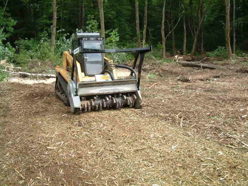 2007_0614_160016AA.jpg