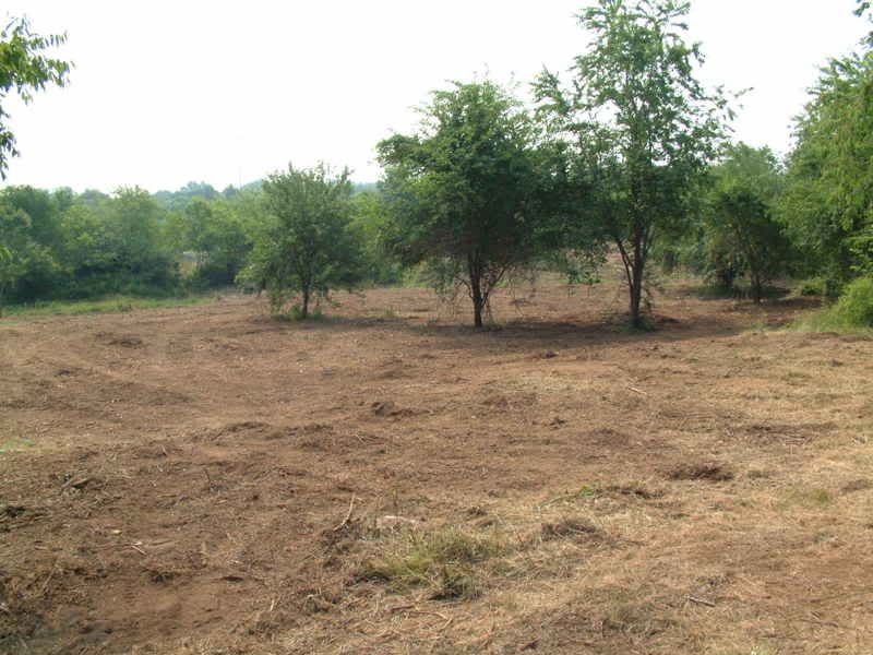 2007_0627_102708AA.jpg